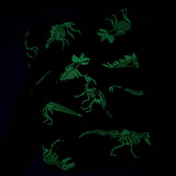 Glow-in-the-dark Dino Bones -  Zippered Book Sleeve